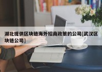 湖北提供区块链海外招商政策的公司[武汉区块链公司]