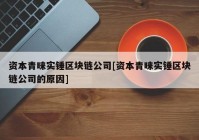 资本青睐实锤区块链公司[资本青睐实锤区块链公司的原因]