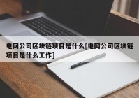 电网公司区块链项目是什么[电网公司区块链项目是什么工作]